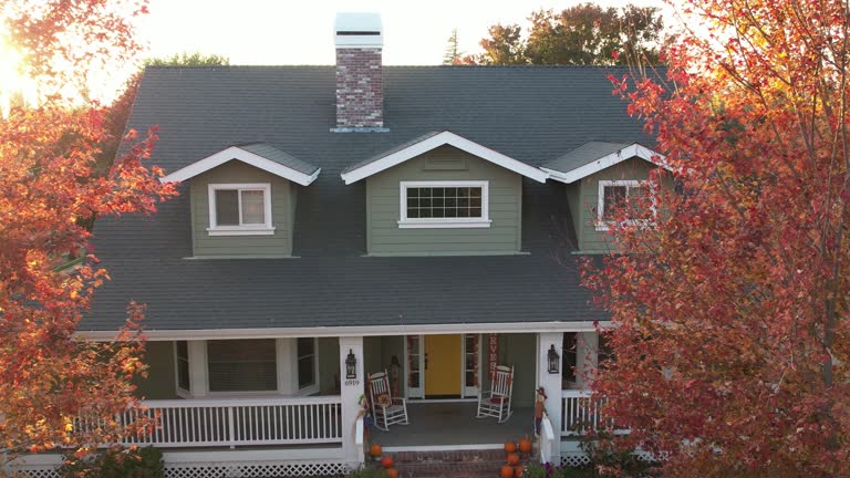 Roof Moss and Algae Removal in West Liberty, OH